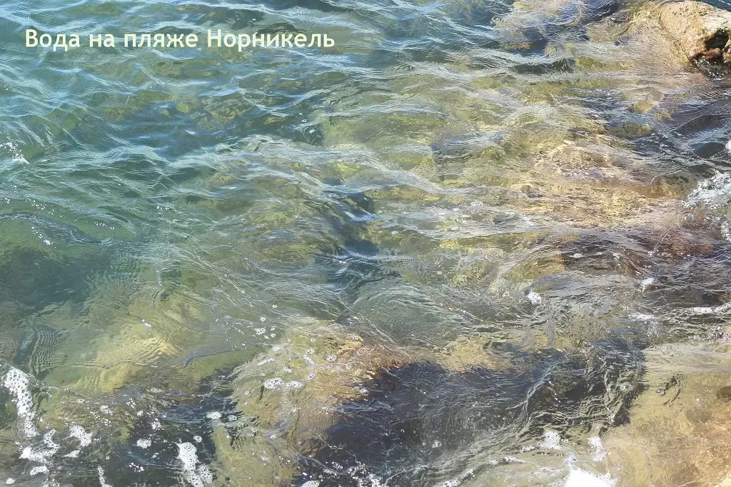 Чистое ли море в Архипо-Осиповке?